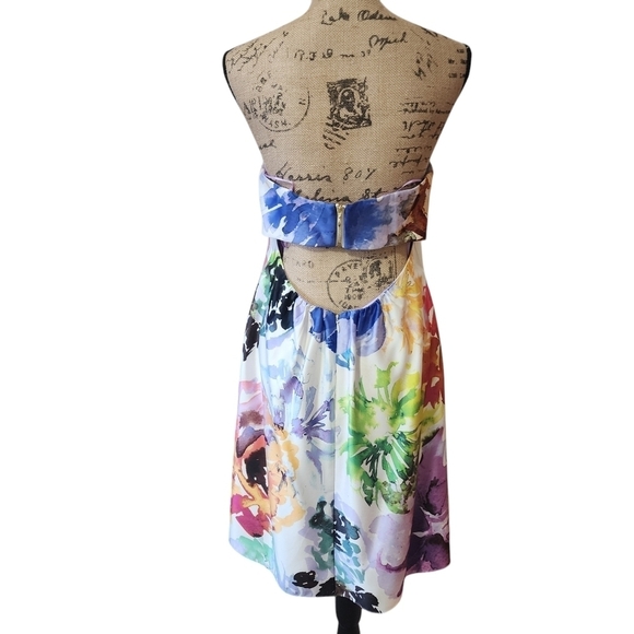 Nicole Miller Sleeveless Mini Lined Floral Watercolor Dress - 10 - Picture 5 of 13